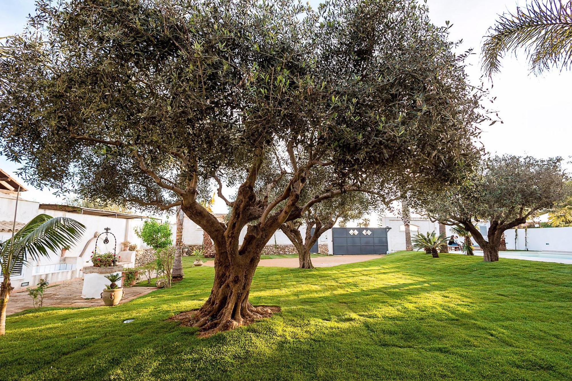 Casa Marsala Apartment Exterior photo